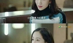 娱乐圈网友吃瓜系统小说,揭秘网友吃瓜背后的秘密